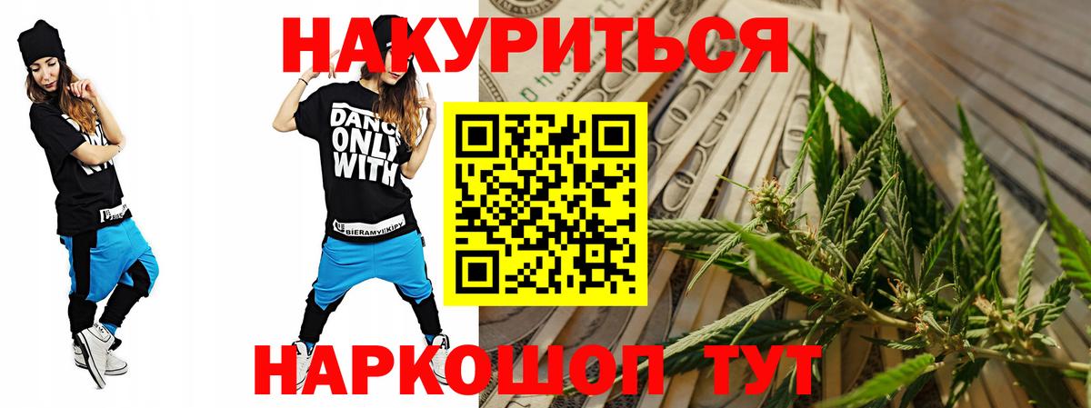 Конопля сатива Курчалой